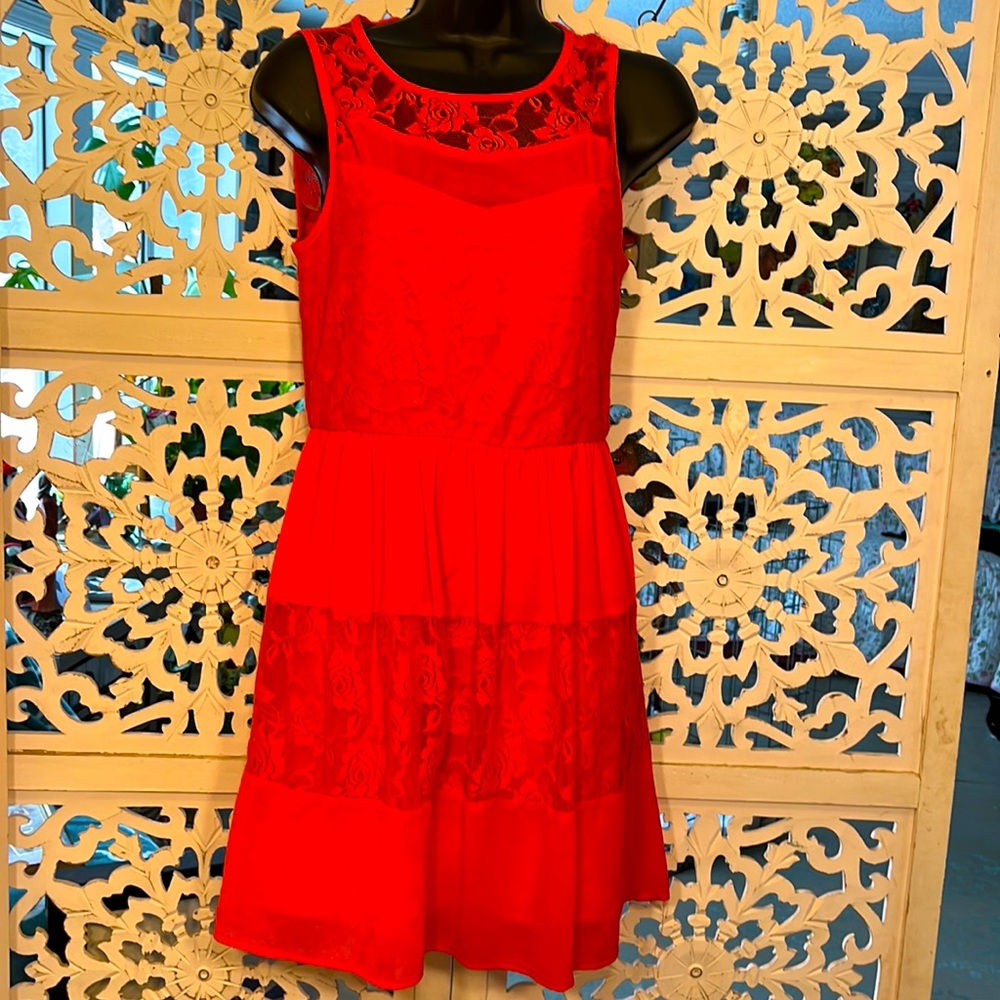 Speechless- adorable coral sheer and lace lined summer dress.
